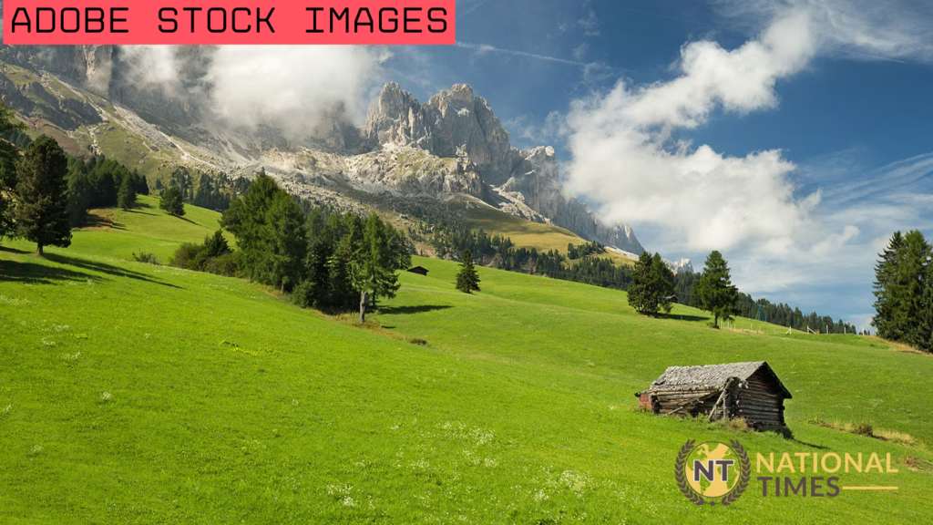 adobe stock images