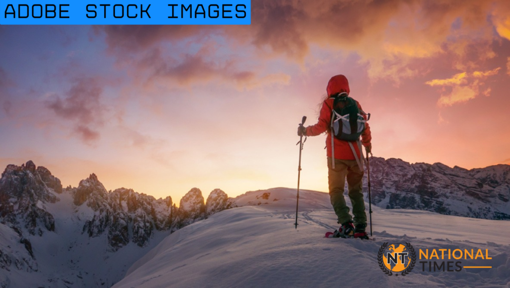 adobe stock images