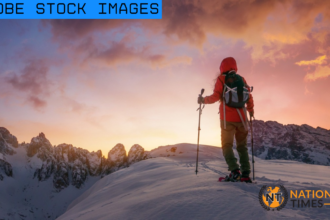 adobe stock images